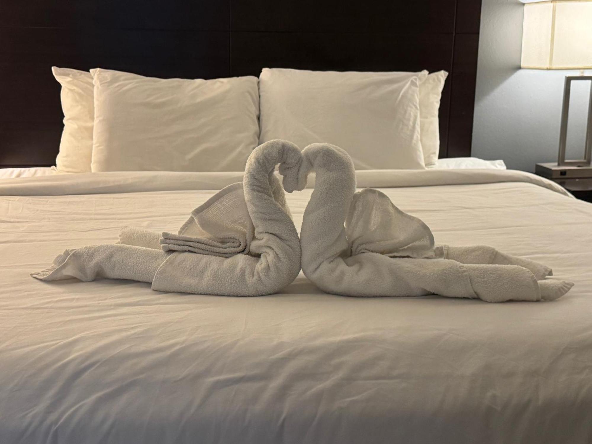 Clarion Inn & Suites Dothan South Екстер'єр фото